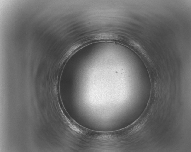 X0000060561033200511101558