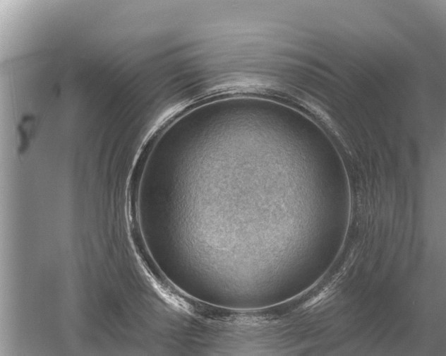 X0000060561034200511101558