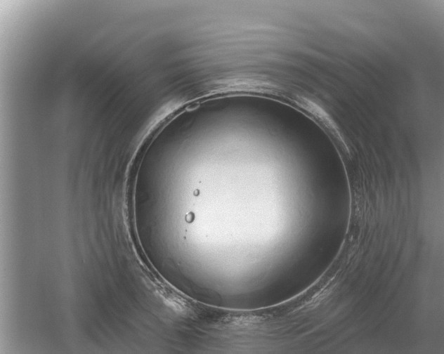 X0000060561043200511101558