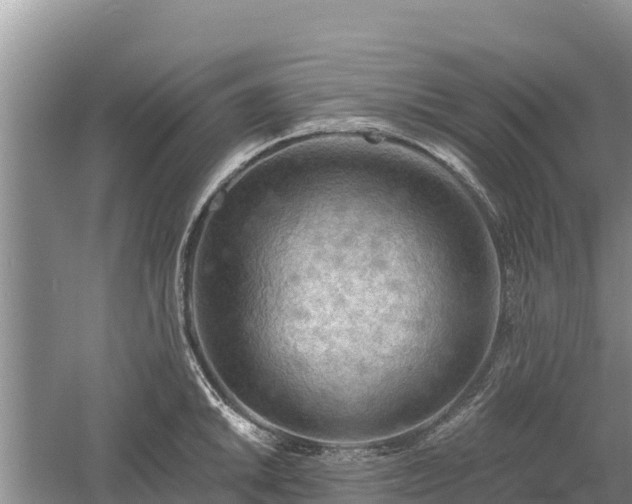 X0000060561046200511101558