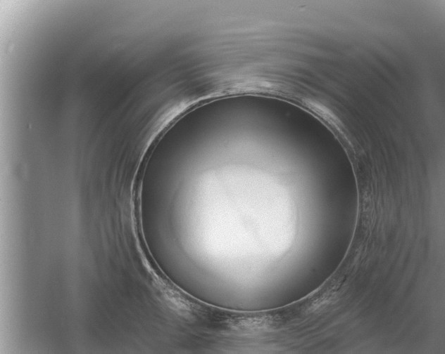 X0000060561047200511101558