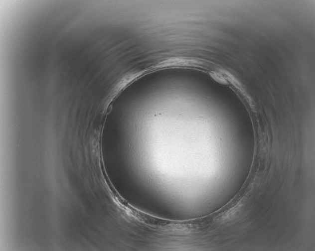 X0000060561049200511101558