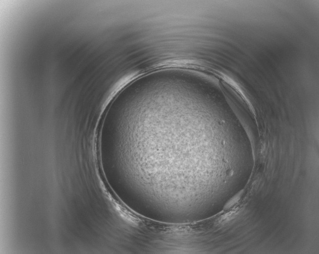 X0000060561050200511101558