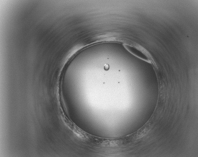 X0000060561051200511101558