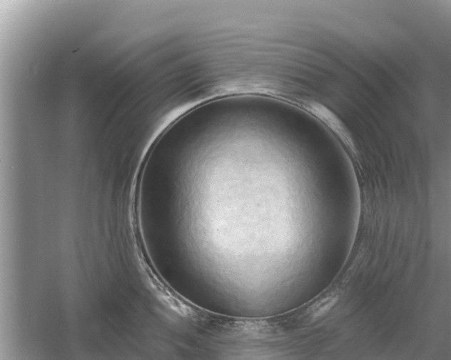 X0000060561052200511101558