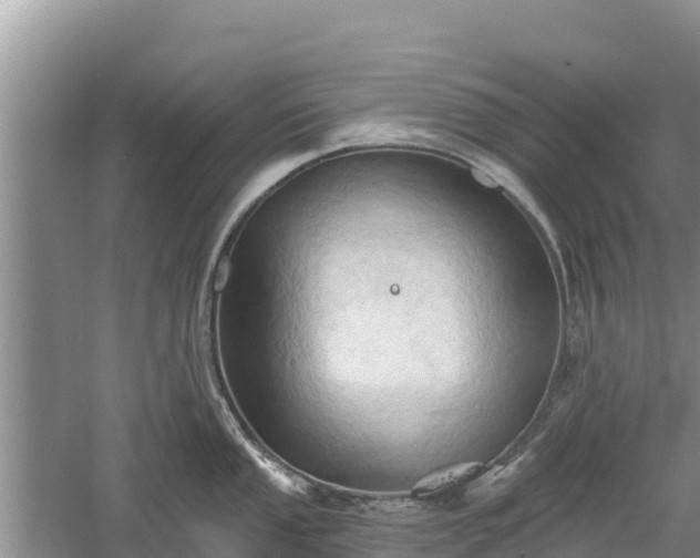 X0000060561053200511101558