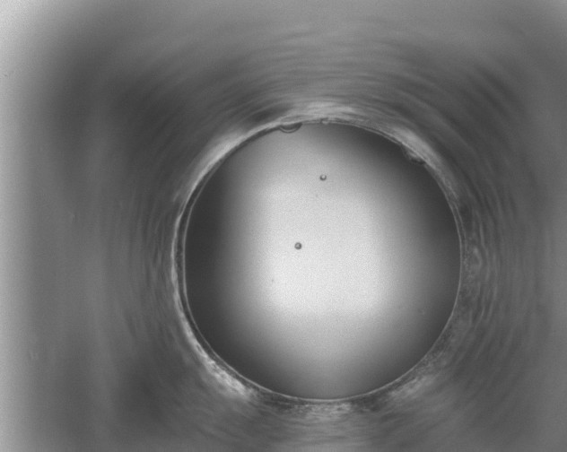 X0000060561055200511101558