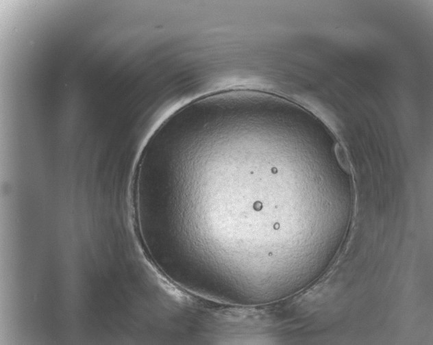 X0000060561056200511101558