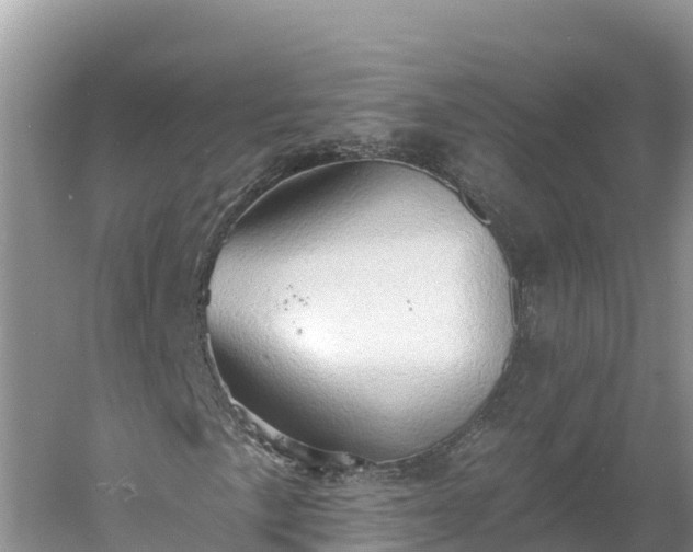 X0000060561057200511101557