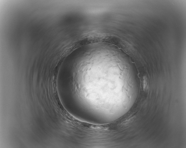 X0000060561059200511101557