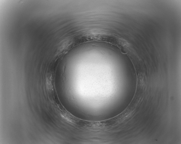 X0000060561060200511101557