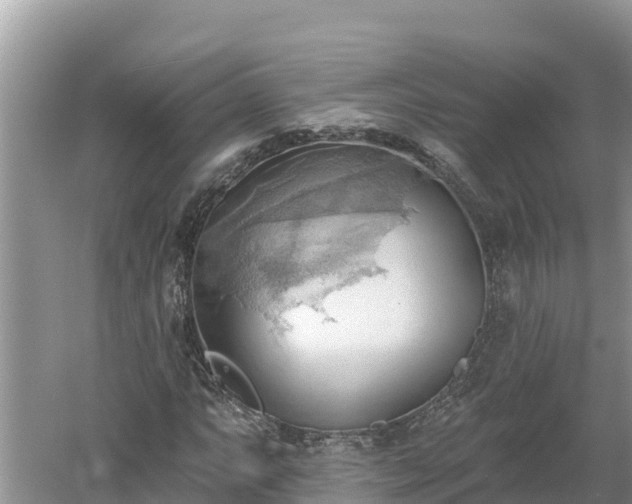 X0000060561063200511101557