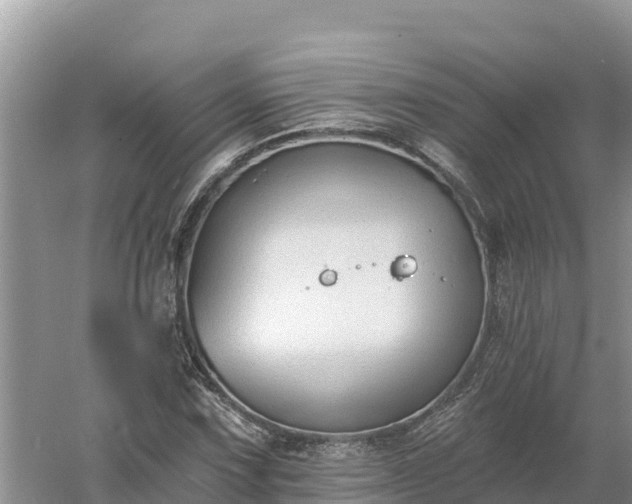 X0000060561067200511101557