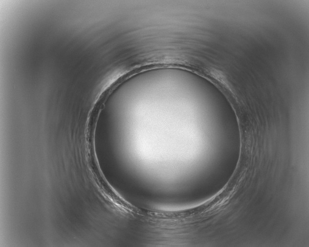 X0000060561071200511101557