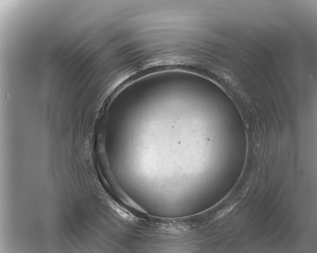 X0000060561073200511101557