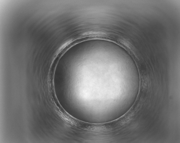 X0000060561074200511101557