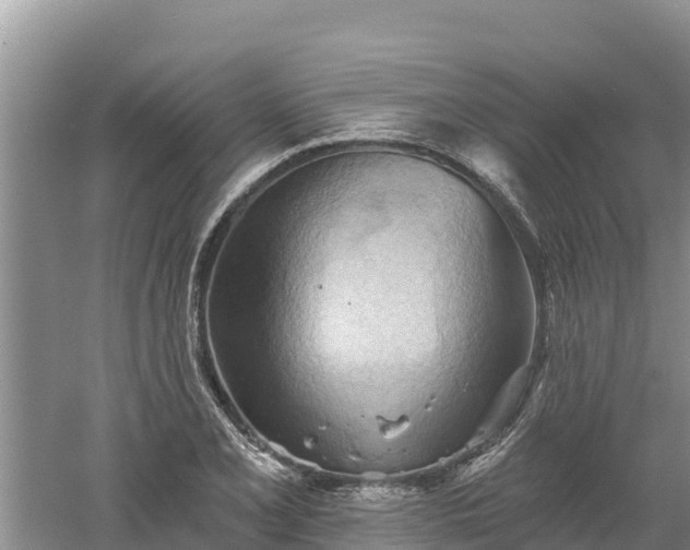 X0000060561077200511101557