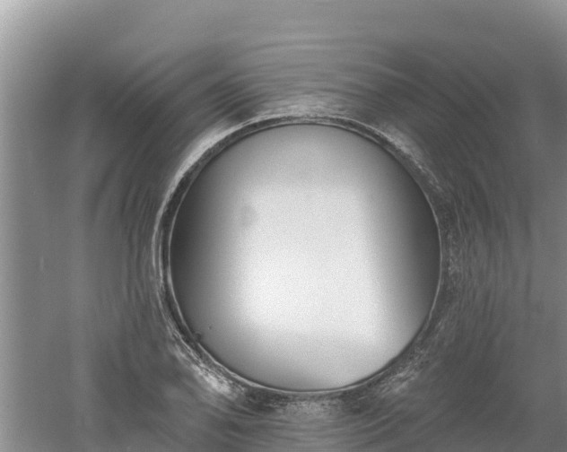 X0000060561078200511101557