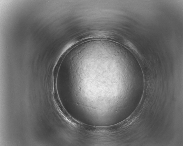 X0000060561079200511101557