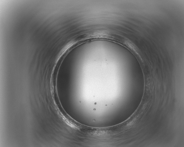 X0000060561082200511101557