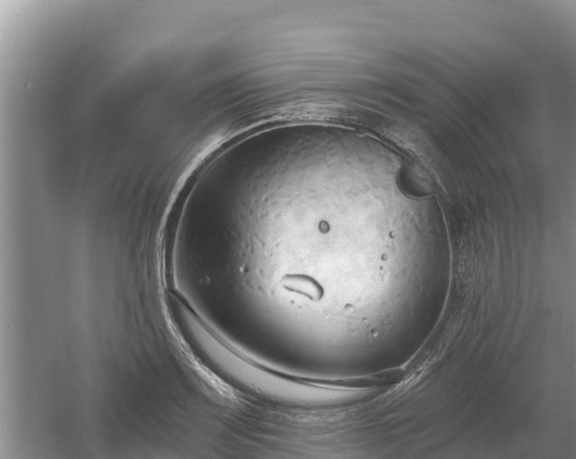 X0000060561083200511101557