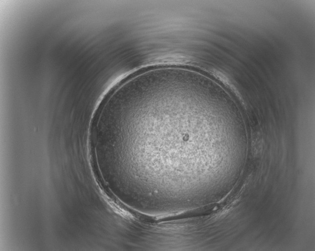 X0000060561085200511101557