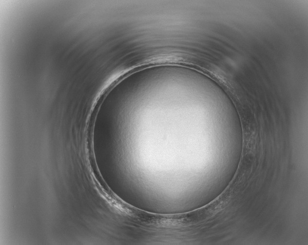 X0000060561086200511101557