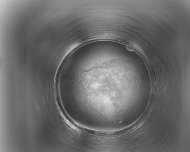 X0000060561087200511101557