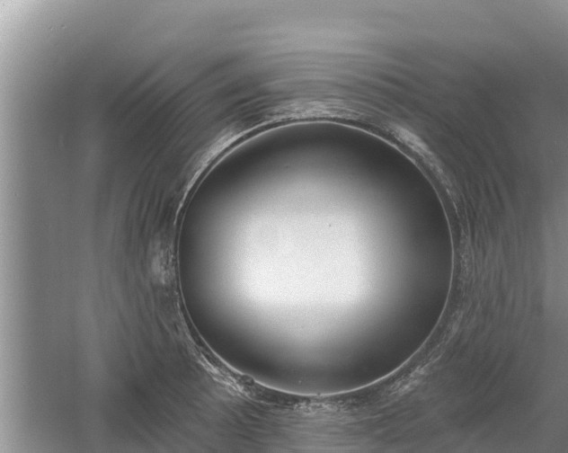 X0000060561089200511101557