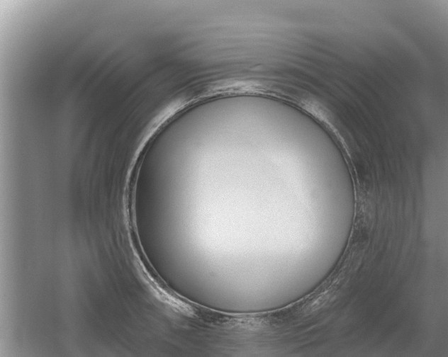 X0000060561090200511101557