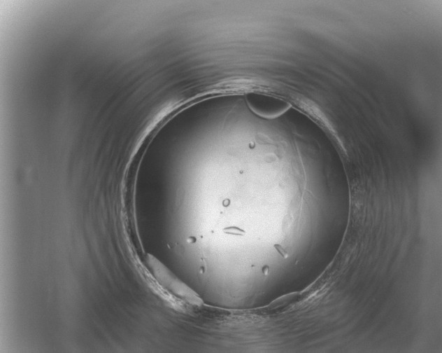 X0000060561091200511101557