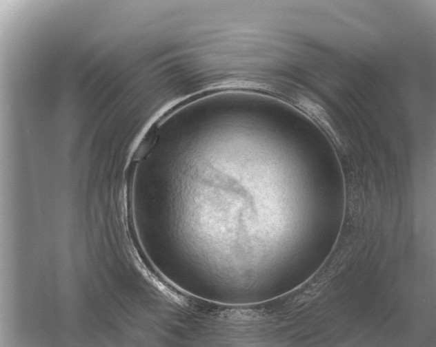 X0000060561092200511101557