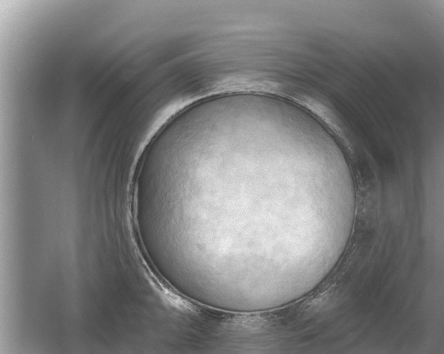 X0000060561094200511101557