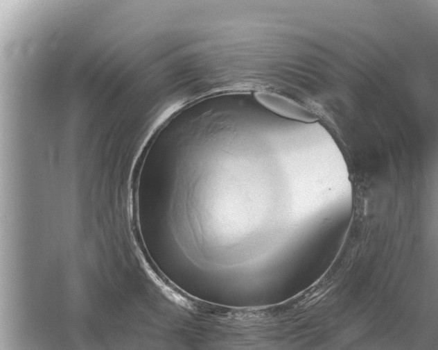 X0000060561095200511101557