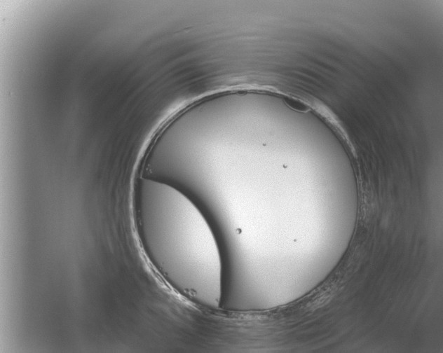 X0000060561096200511101557