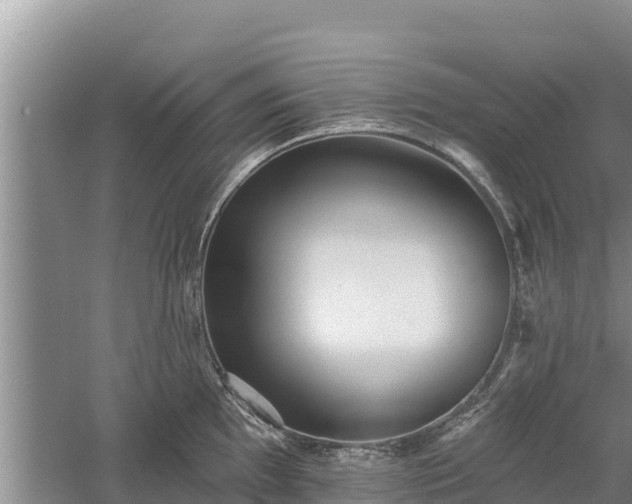 X0000060561097200511101557