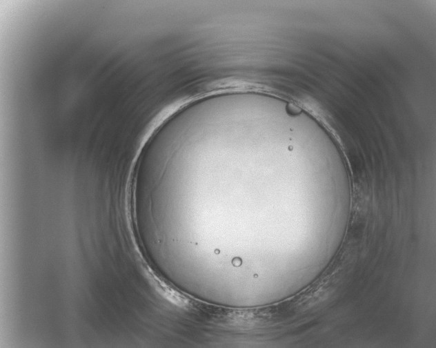 X0000060561098200511101557