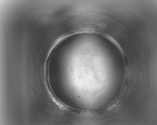 X0000060561099200511101557