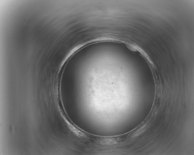 X0000060561101200511101557