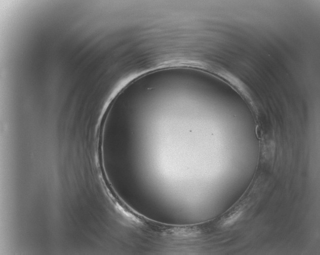 X0000060561102200511101557