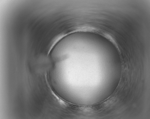 X0000060561103200511101557