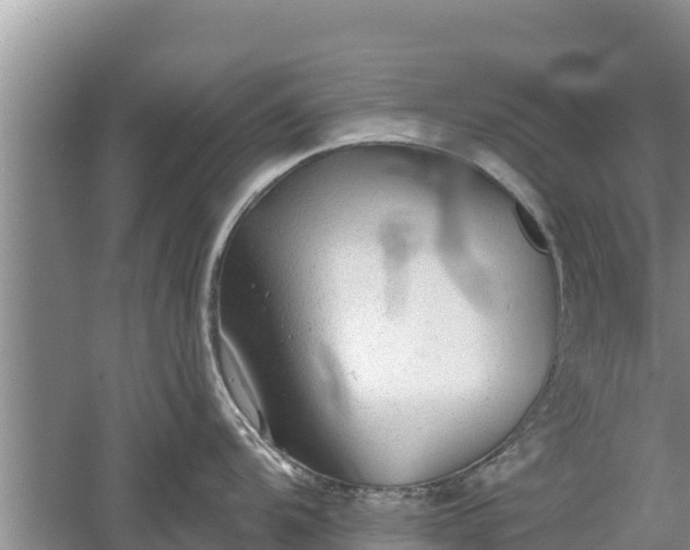 X0000060561104200511101557