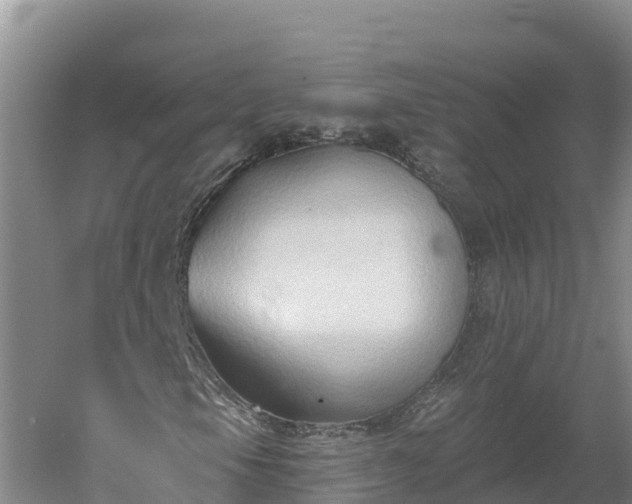 X0000060561105200511101556