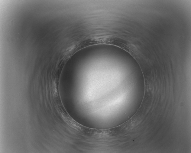 X0000060561106200511101556