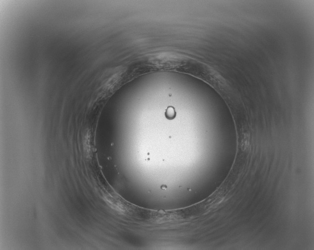 X0000060561108200511101556