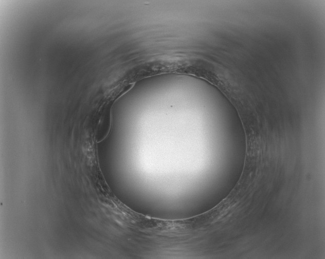 X0000060561109200511101556