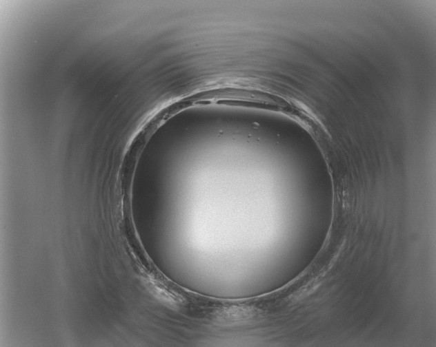 X0000060561117200511101556