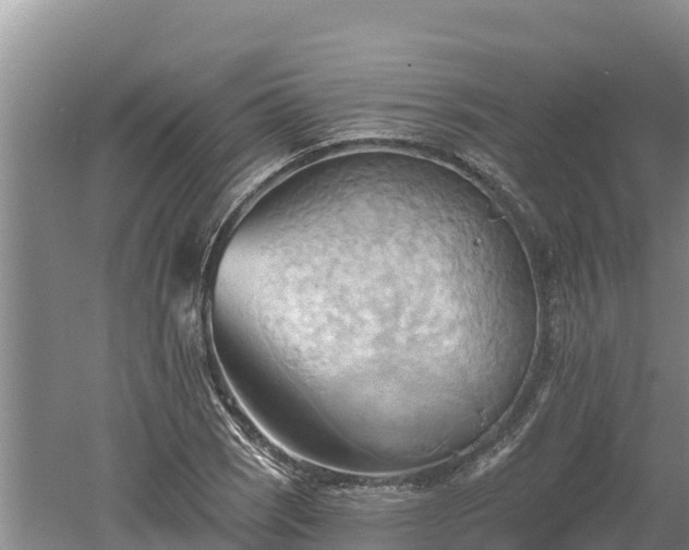 X0000060561121200511101556