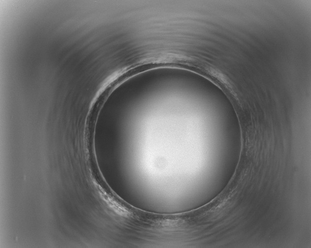 X0000060561122200511101556