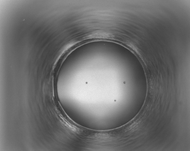 X0000060561123200511101556